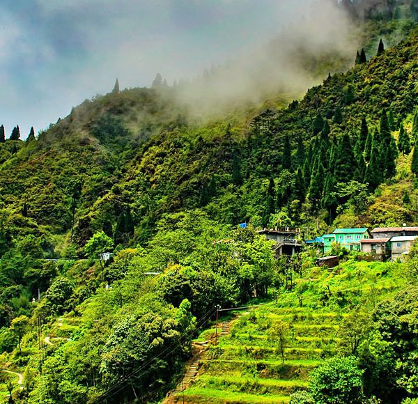 holiday packages darjeeling