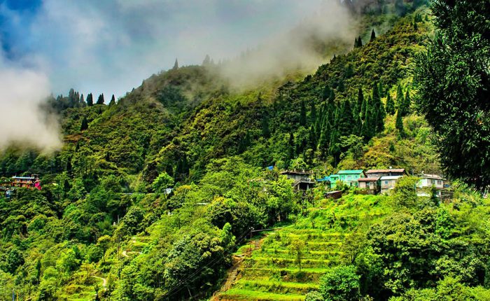 holiday packages darjeeling