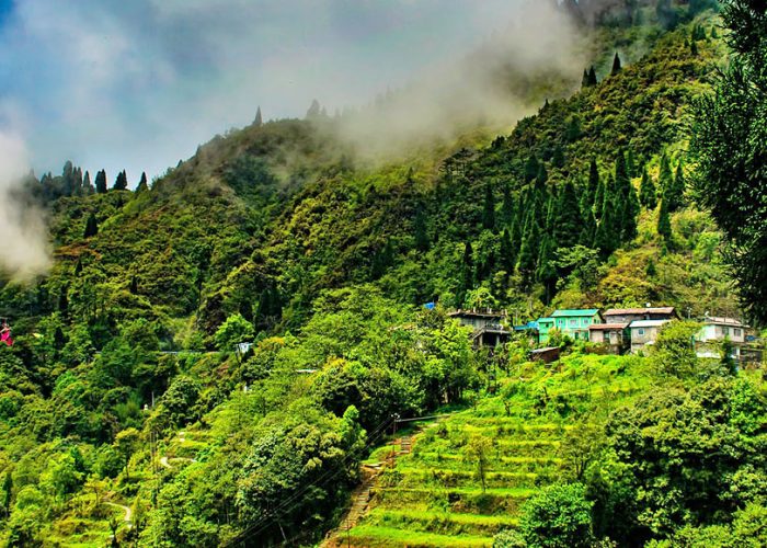 holiday packages darjeeling