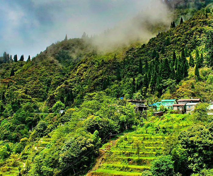 holiday packages darjeeling