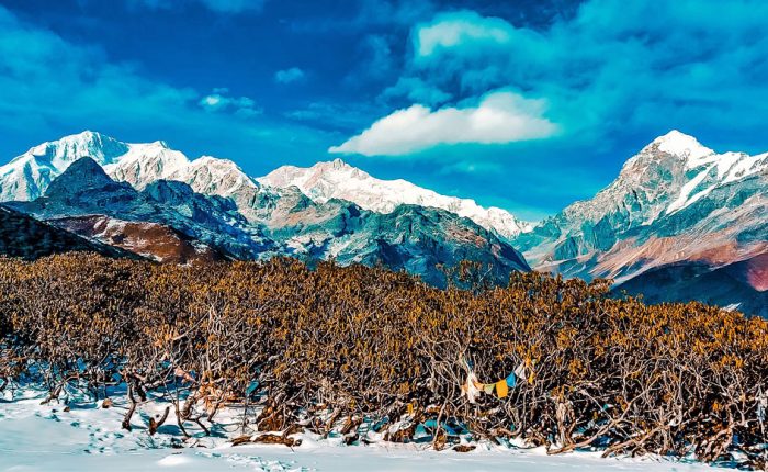 sikkim holiday packages