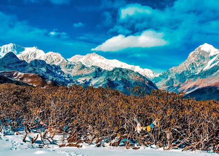 sikkim holiday packages