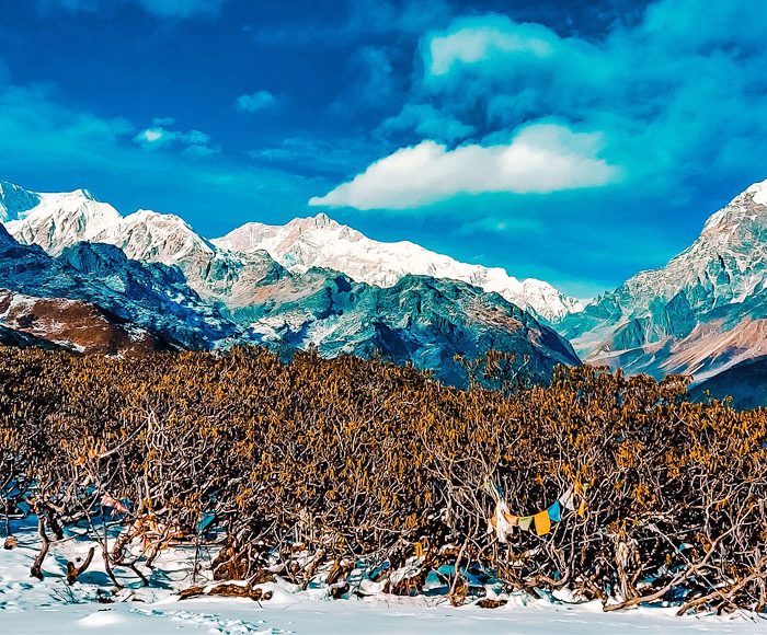 sikkim holiday packages