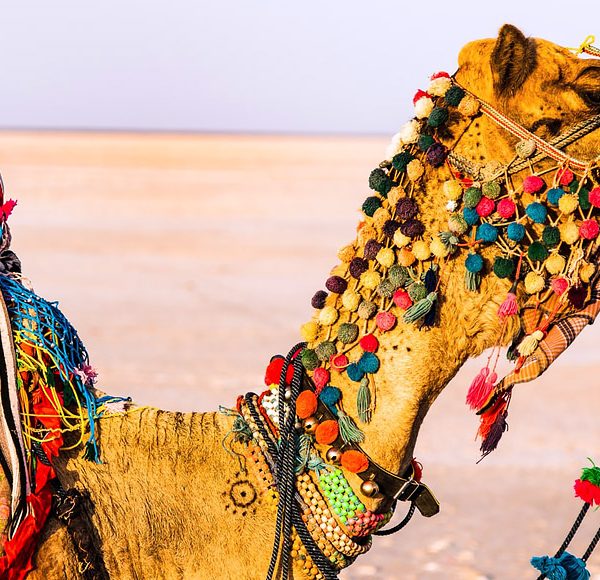 gujarat holiday packages