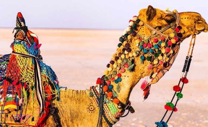 gujarat holiday packages