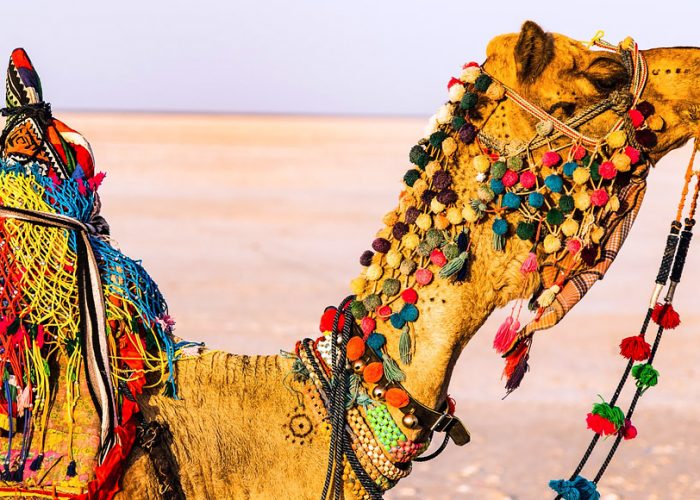 gujarat holiday packages