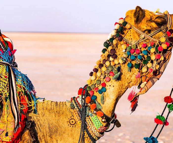 gujarat holiday packages